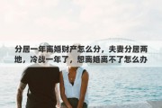 分居一年离婚财产怎么分，夫妻分居两地，冷战一年了，想离婚离不了怎么办