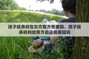 孩子抚养权在女方男方想要回，孩子抚养权判给男方后还能要回吗