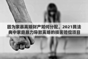 因为家暴离婚财产如何分配，2021民法典中家庭暴力导致离婚的损害赔偿项目