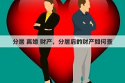分居 离婚 财产，分居后的财产如何查