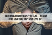 分居两年自动离婚财产怎么分，分居两年自动离婚后财产和孩子怎么分