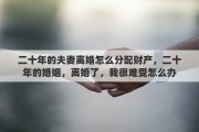 二十年的夫妻离婚怎么分配财产，二十年的婚姻，离婚了，我很难受怎么办