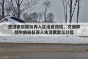 交通事故被扶养人生活费赔偿，交通事故中的被扶养人生活费怎么计算