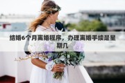 结婚6个月离婚程序，办理离婚手续是星期几