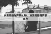 夫妻离婚财产怎么分?，夫妻离婚财产怎么办