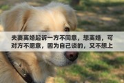 夫妻离婚起诉一方不同意，想离婚，可对方不愿意，因为自己谈的，又不想上法院起诉，怎么办