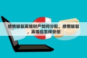 感情破裂离婚财产如何分配，感情破裂，离婚应怎样安慰