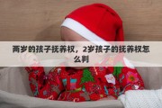 两岁的孩子抚养权，2岁孩子的抚养权怎么判