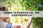 夫妻离婚了孩子抚养权怎么分配，离婚之后孩子抚养权怎么判