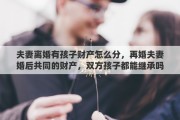 夫妻离婚有孩子财产怎么分，再婚夫妻婚后共同的财产，双方孩子都能继承吗