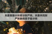 夫妻离婚小孩能分财产吗，夫妻共同财产前妻的孩子能分吗
