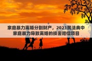 家庭暴力离婚分割财产，2021民法典中家庭暴力导致离婚的损害赔偿项目