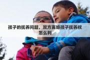 孩子的抚养问题，双方离婚孩子抚养权怎么判