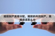婚前财产离婚分配，婚前的共同财产，离婚后该怎么分