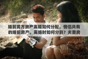 婚前男方房产离婚如何分配，情侣共有的婚前房产，离婚时如何分割？夫妻房产离婚时如何分割
