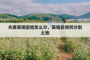 夫妻离婚田地怎么分，离婚后如何分割土地