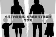 小孩子的抚养权，双方离婚孩子抚养权怎么判
