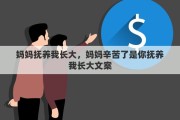 妈妈抚养我长大，妈妈辛苦了是你抚养我长大文案