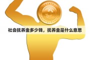 社会抚养金多少钱，抚养金是什么意思