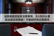 法院离婚流程及注意事项，大S为什么要向法院诉请离婚？不能和平协议离婚吗