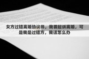 女方过错离婚协议书，我要起诉离婚，可是我是过错方，我该怎么办