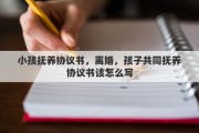 小孩抚养协议书，离婚，孩子共同抚养协议书该怎么写