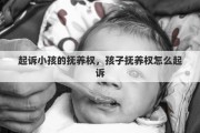 起诉小孩的抚养权，孩子抚养权怎么起诉