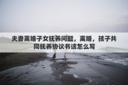 夫妻离婚子女抚养问题，离婚，孩子共同抚养协议书该怎么写