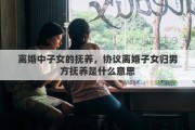 离婚中子女的抚养，协议离婚子女归男方抚养是什么意思