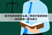 孩子抚养权费怎么算，争孩子抚养权的律师费用一般为多少