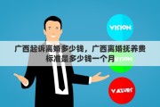 广西起诉离婚多少钱，广西离婚抚养费标准是多少钱一个月