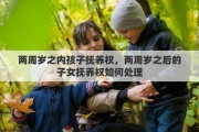 两周岁之内孩子抚养权，两周岁之后的子女抚养权如何处理