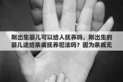 刚出生婴儿可以给人抚养吗，刚出生的婴儿送给亲戚抚养犯法吗？因为亲戚无法生育
