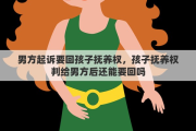 男方起诉要回孩子抚养权，孩子抚养权判给男方后还能要回吗