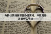 办协议离婚在哪里办理离婚，申请离婚需要什么手续
