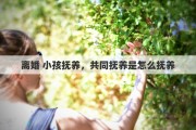 离婚 小孩抚养，共同抚养是怎么抚养