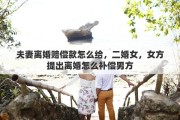 夫妻离婚赔偿款怎么给，二婚女，女方提出离婚怎么补偿男方
