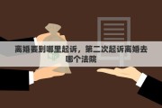 离婚要到哪里起诉，第二次起诉离婚去哪个法院