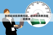 怎样起诉抚养费问题，起诉抚养费流程和费用