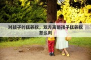 对孩子的抚养权，双方离婚孩子抚养权怎么判