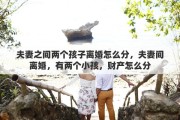 夫妻之间两个孩子离婚怎么分，夫妻间离婚，有两个小孩，财产怎么分