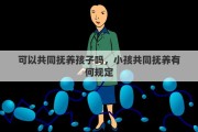 可以共同抚养孩子吗，小孩共同抚养有何规定