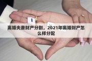 离婚夫妻财产分割，2021年离婚财产怎么样分配