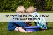 抚养一个小孩需要多少钱，2013至2021年抚养孩子费用是多少