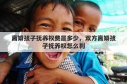 离婚孩子抚养权费是多少，双方离婚孩子抚养权怎么判