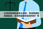 小孩的抚养权是怎么判的，向法院提起离婚起诉，孩子的抚养权会如何判？有偏向吗
