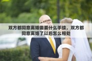双方都同意离婚需要什么手续，双方都同意离婚了以后怎么相处