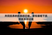 共同抚养的抚养权归谁，爱在屋檐下凯凯抚养权归谁