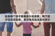 抚养两个孩子需要多少抚养费，两个孩子归女方抚养，男方每月应该支付多少抚养费