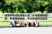 抚养权共同抚养怎么写，小孩抚养权归我，我就同意离婚，可以这样和法官说吗